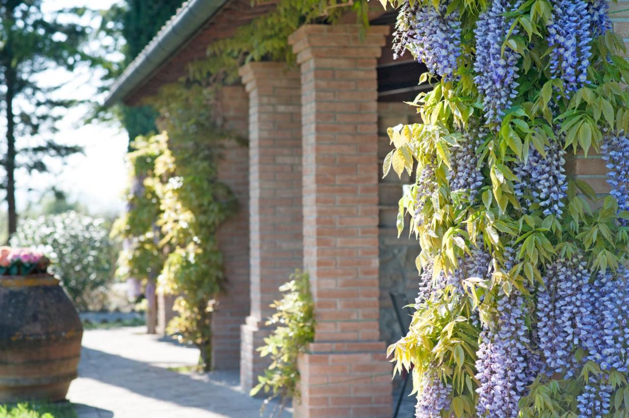 Agriturismo Canale Peccioli Extérieur photo